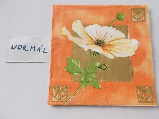 szalvta: PID27809.JPG