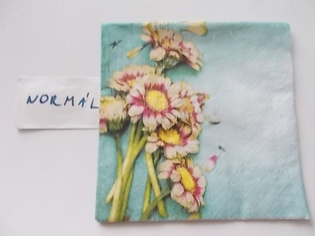 szalvta: PID27875.JPG