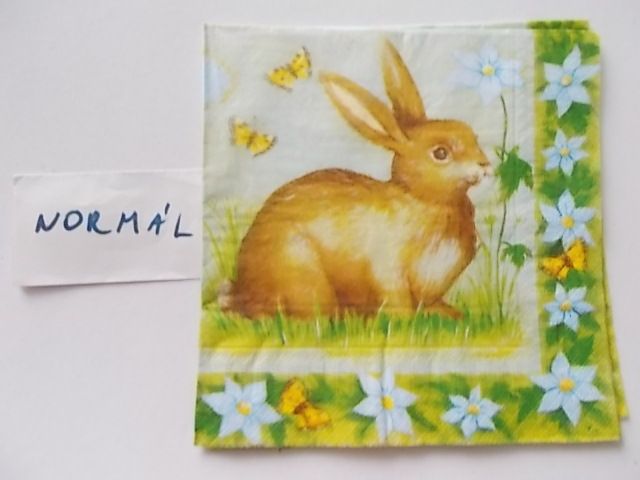 szalvta: PID27881.JPG