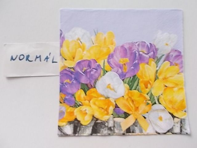 szalvta: PID27884.JPG