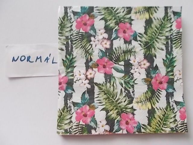 szalvta: PID27886.JPG