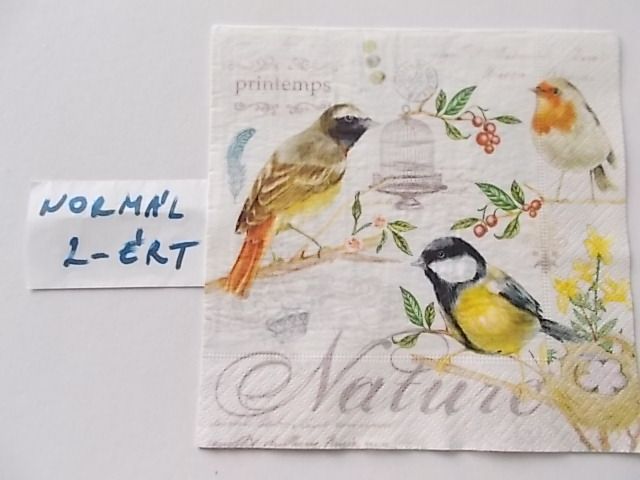 szalvta: PID27973.JPG