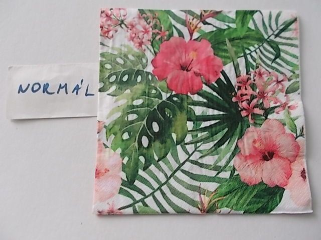 szalvta: PID28051.JPG