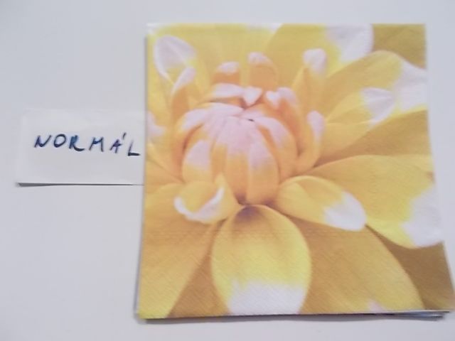 szalvta: PID28082.JPG