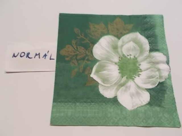 szalvta: PID28217.JPG