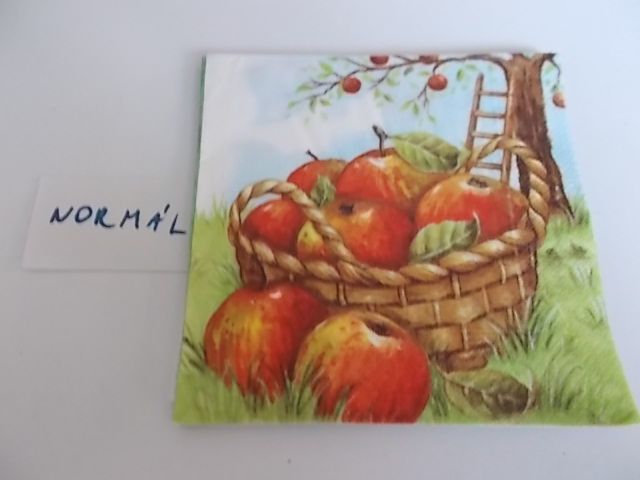 szalvta: PID28235.JPG