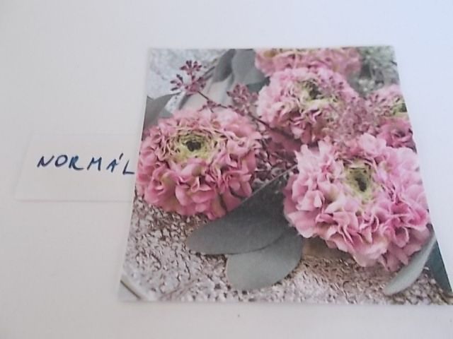 szalvta: PID28248.JPG