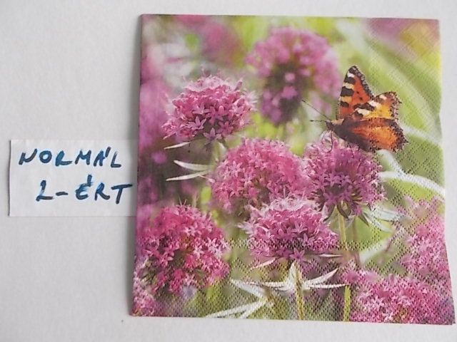 szalvta: PID28284.JPG