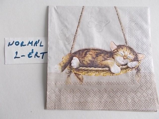 szalvta: PID28306.JPG