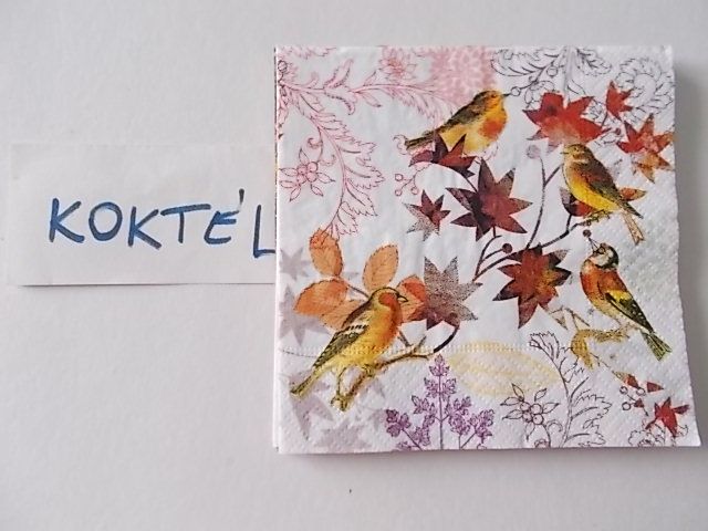 szalvta: PID28342.JPG