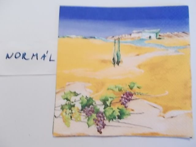 szalvta: PID28602.JPG