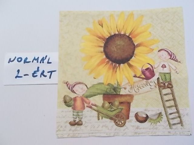 szalvta: PID28715.JPG