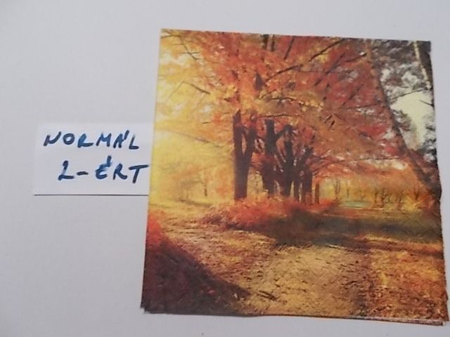 szalvta: PID28766.JPG