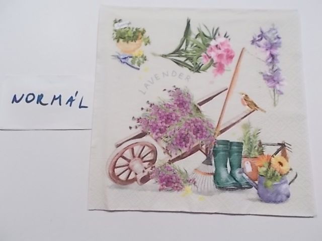 szalvta: PID28767.JPG