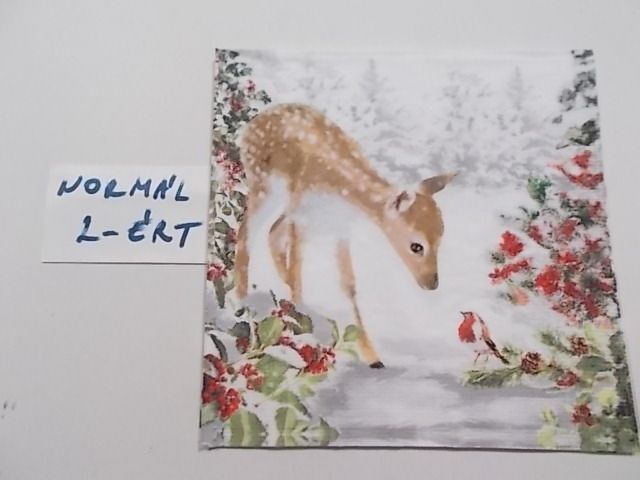 szalvta: PID28789.JPG