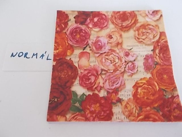 szalvta: PID28874.JPG