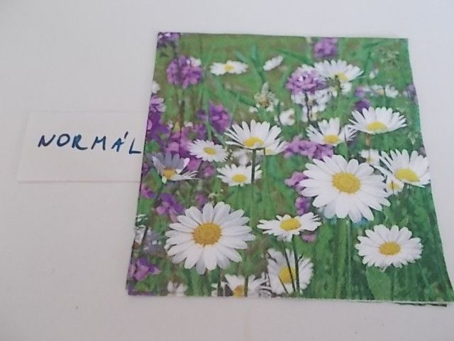 szalvta: PID28878.JPG