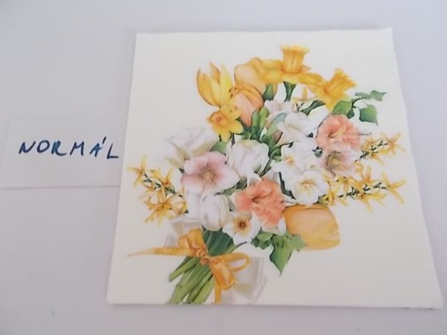 szalvta: PID28879.JPG