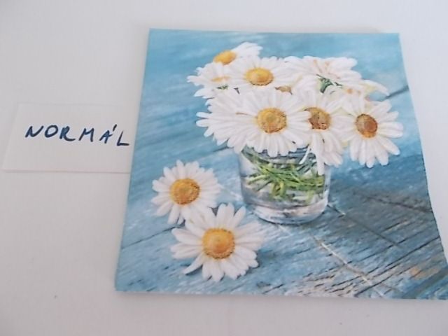 szalvta: PID28880.JPG