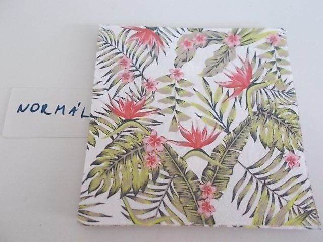 szalvta: PID28884.JPG