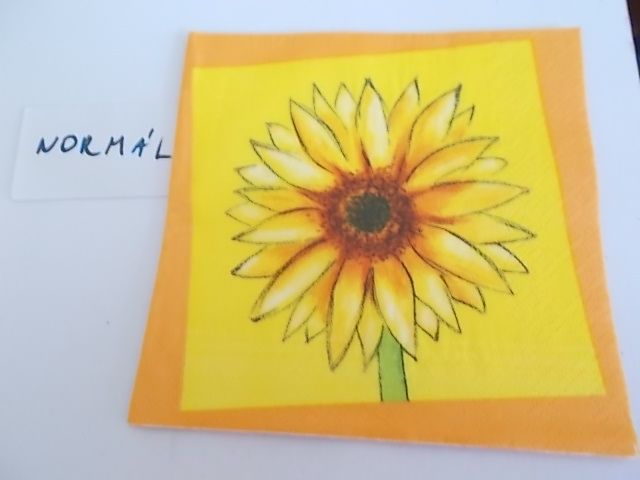 szalvta: PID28946.JPG