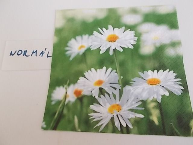 szalvta: PID28947.JPG