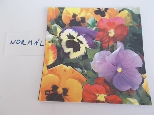 szalvta: PID28953.JPG