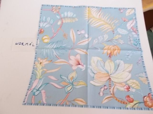 szalvta: PID28956.JPG