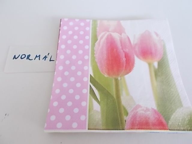 szalvta: PID28967.JPG