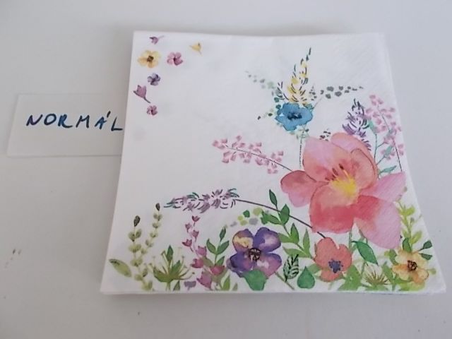 szalvta: PID28968.JPG