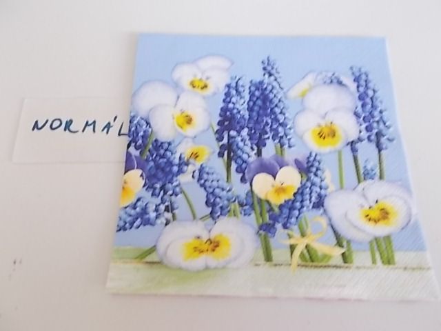 szalvta: PID28972.JPG