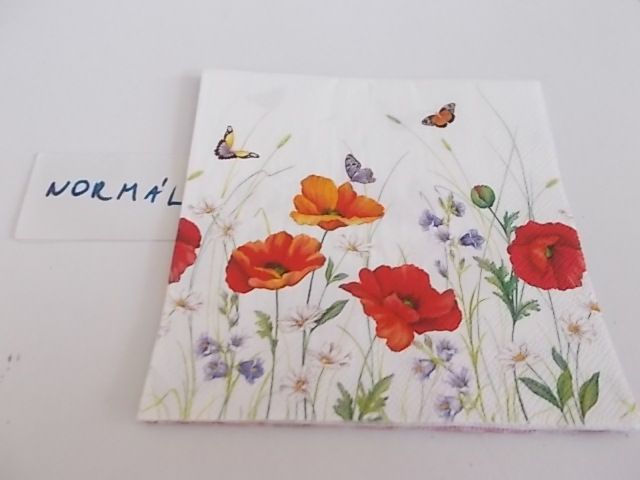 szalvta: PID28973.JPG