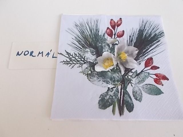 szalvta: PID28979.JPG