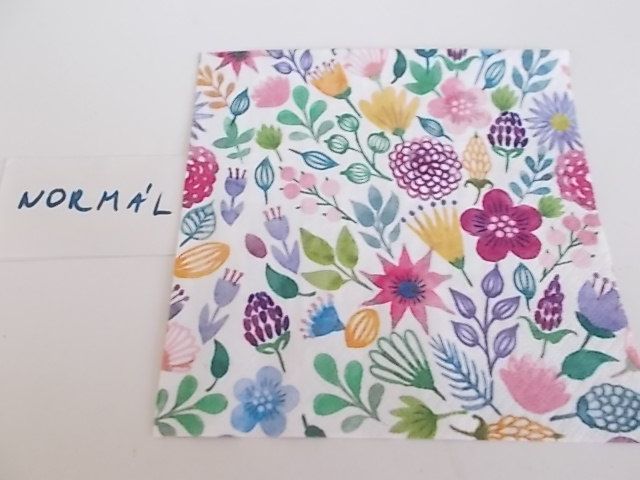 szalvta: PID28982.JPG