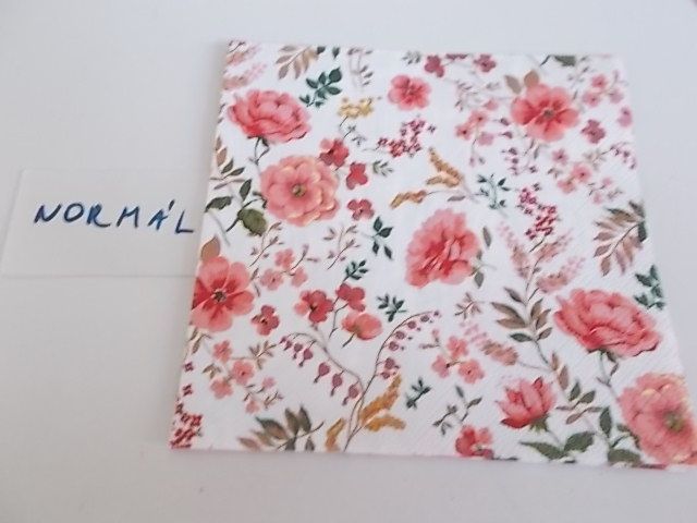 szalvta: PID28984.JPG