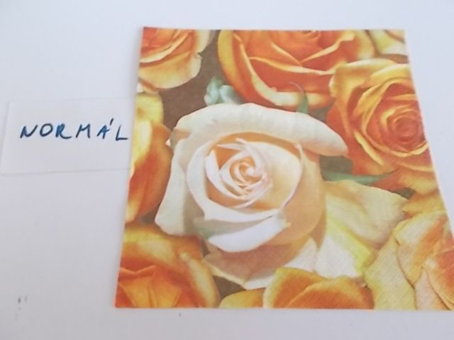 szalvta: PID28990.JPG