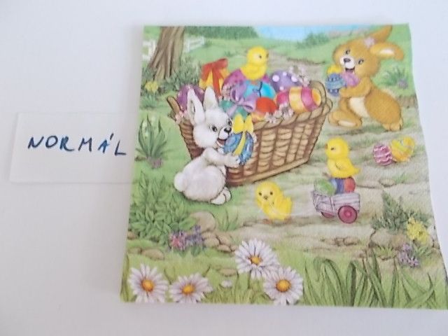 szalvta: PID29013.JPG