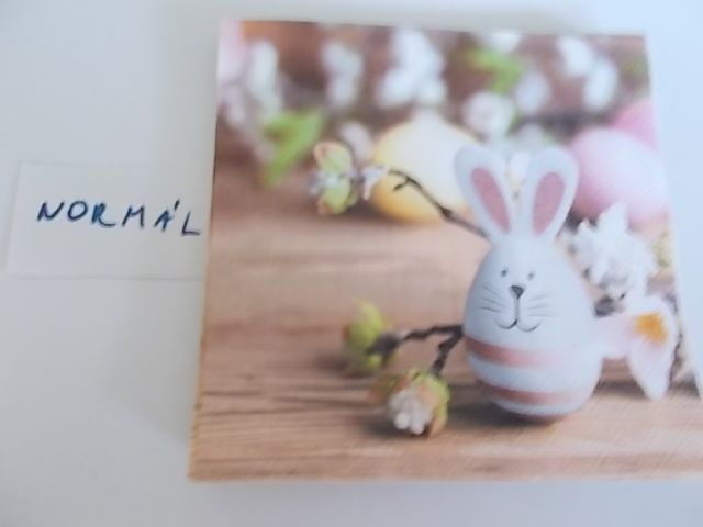 szalvta: PID29024.JPG