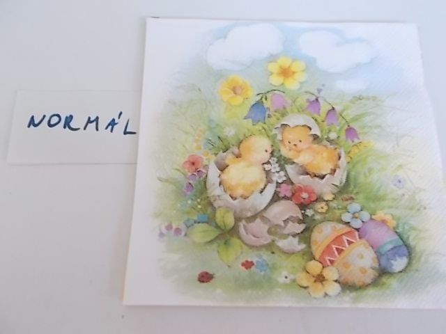 szalvta: PID29028.JPG