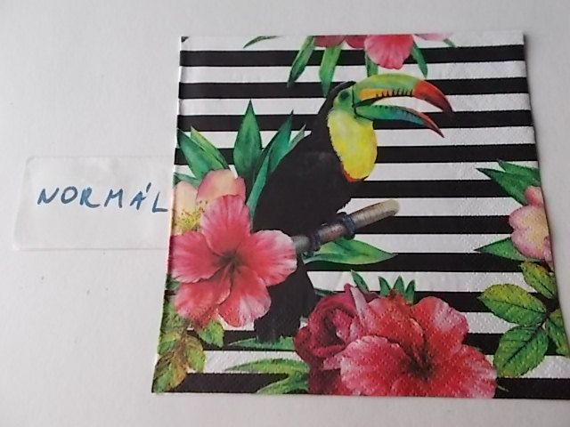 szalvta: PID29149.JPG