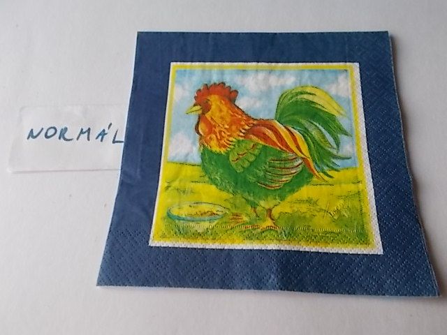 szalvta: PID29158.JPG