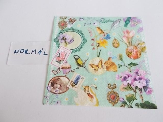 szalvta: PID29174.JPG