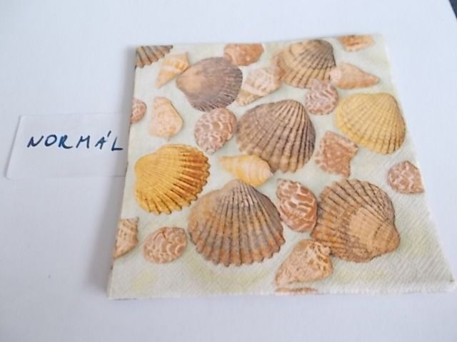 szalvta: PID29199.JPG