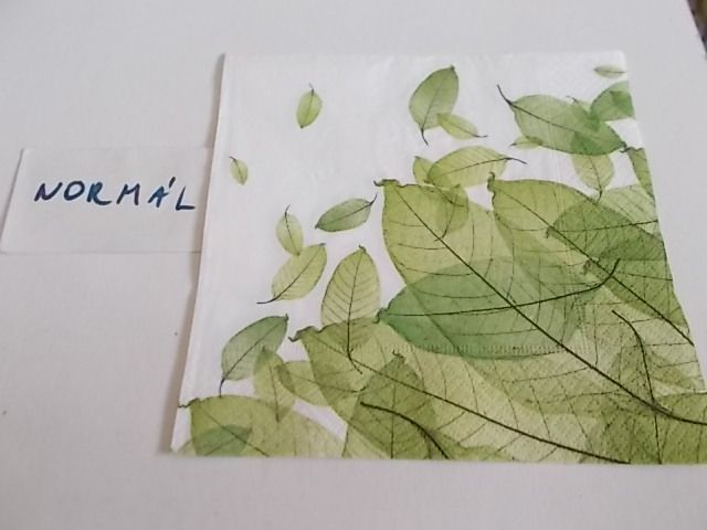 szalvta: PID29252.JPG