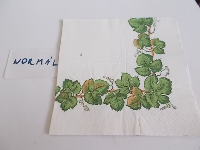 szalvta: PID29265.JPG