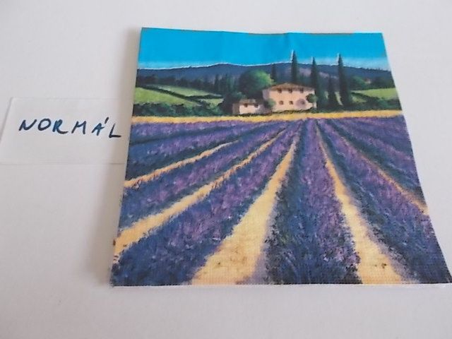 szalvta: PID29282.JPG