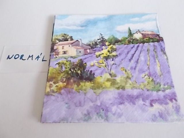 szalvta: PID29284.JPG