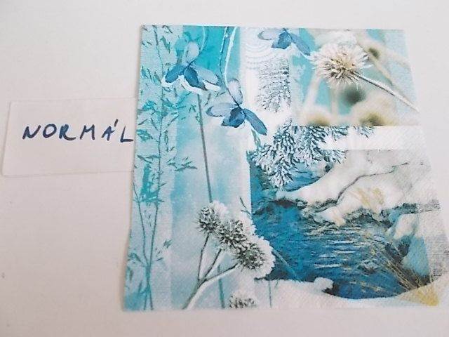 szalvta: PID29296.JPG