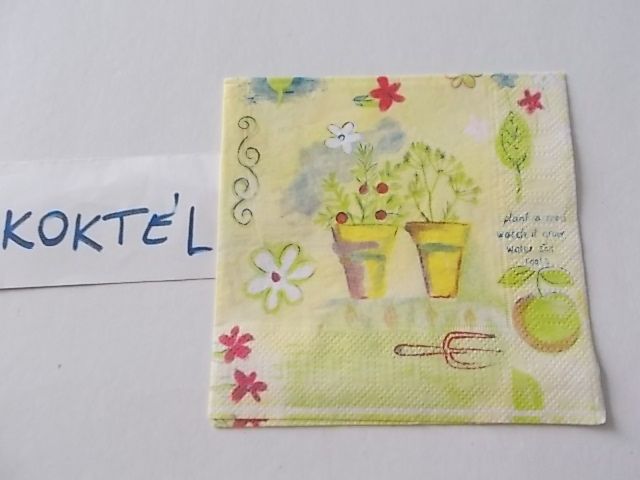 szalvta: PID29760.JPG