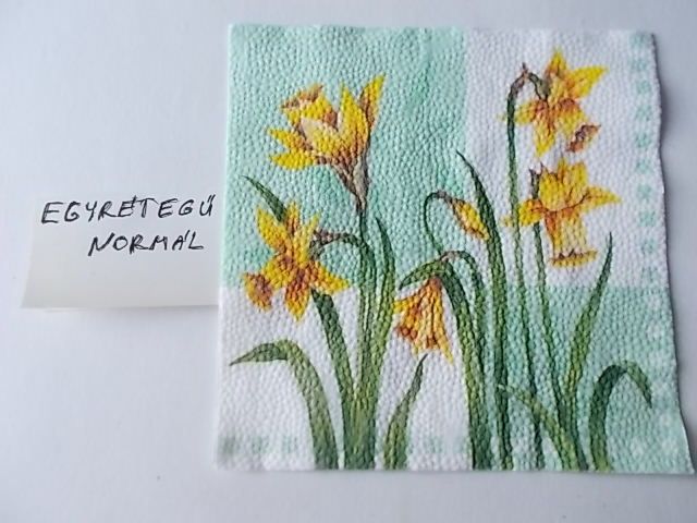 szalvta: PID29834.JPG